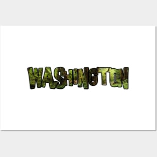 Washington (Forest View) Posters and Art